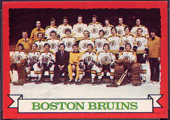 93 Bruins Team